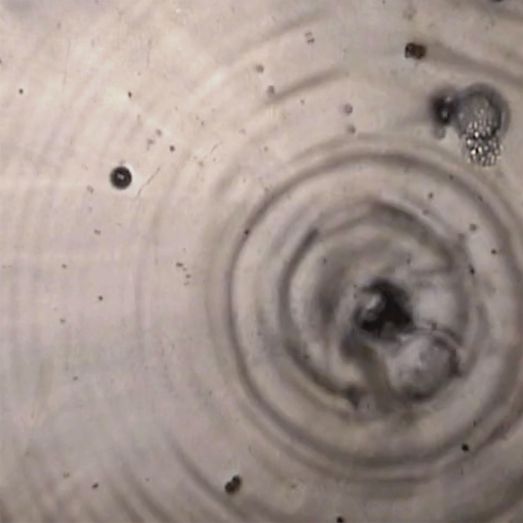 VIDEO art by Iyvone Khoo